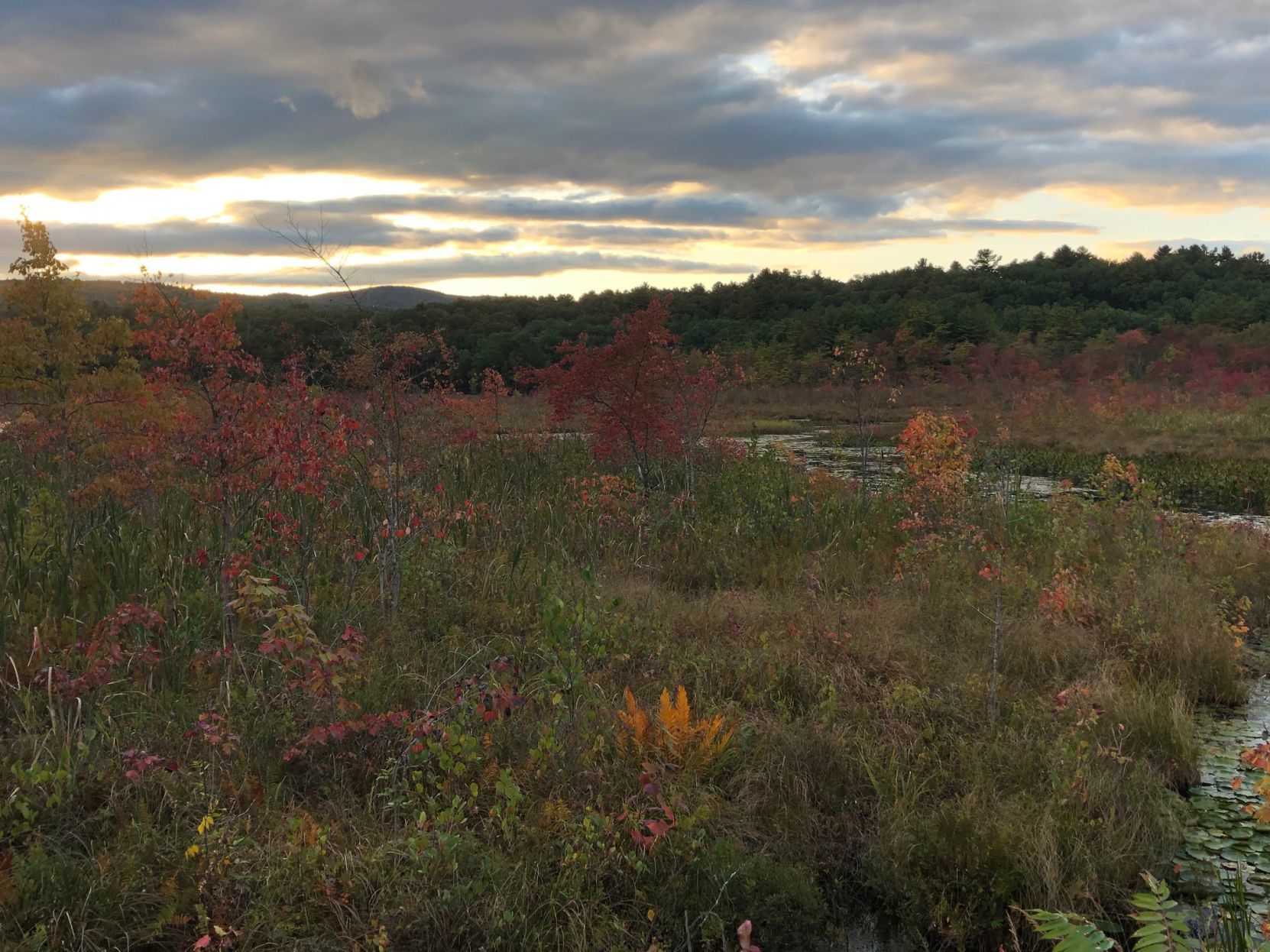 Glen Lake foliage